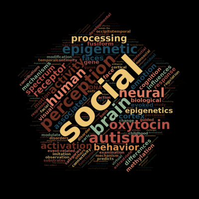 The Social Neuroscience Lab
