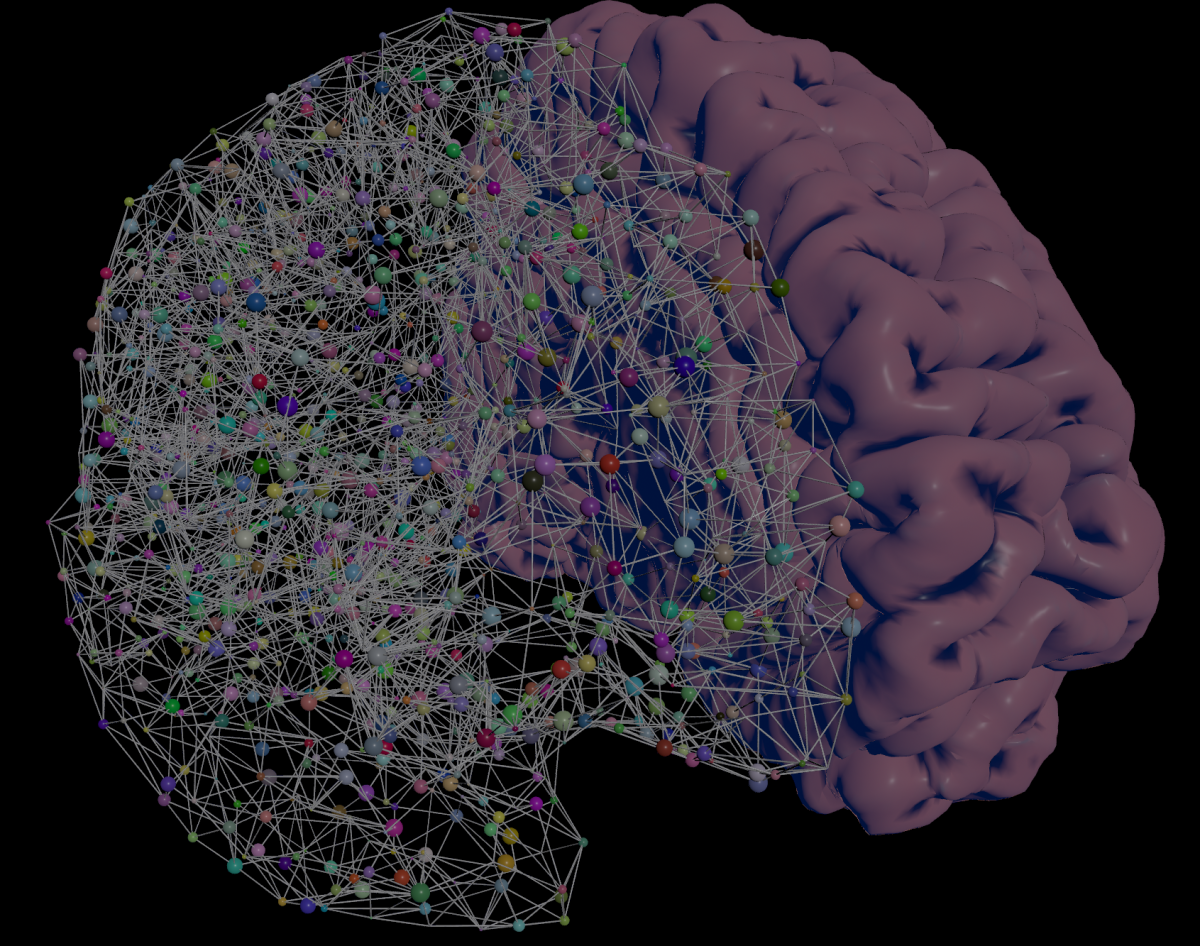 Brain Graph